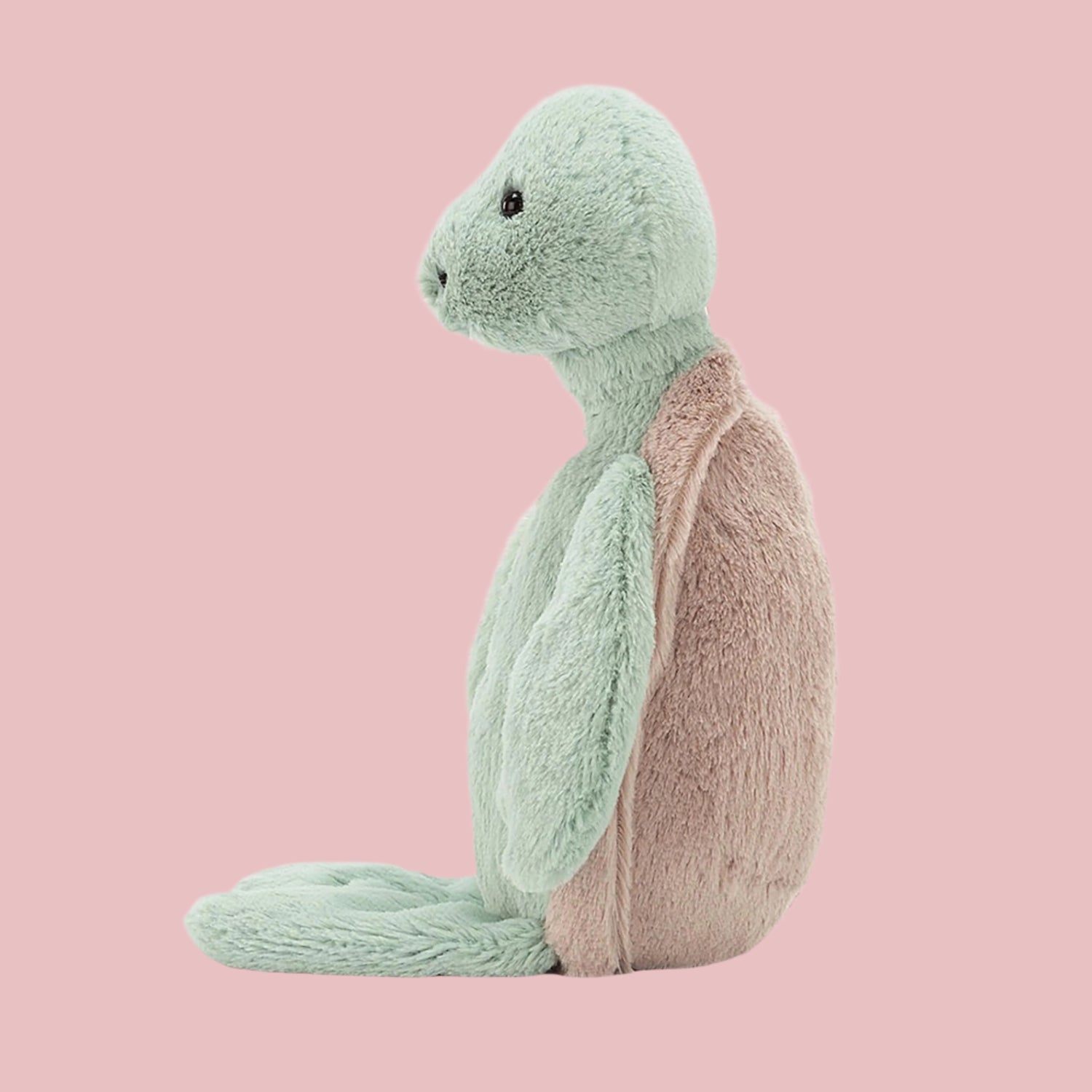 JELLYCAT Bashful | Turtle