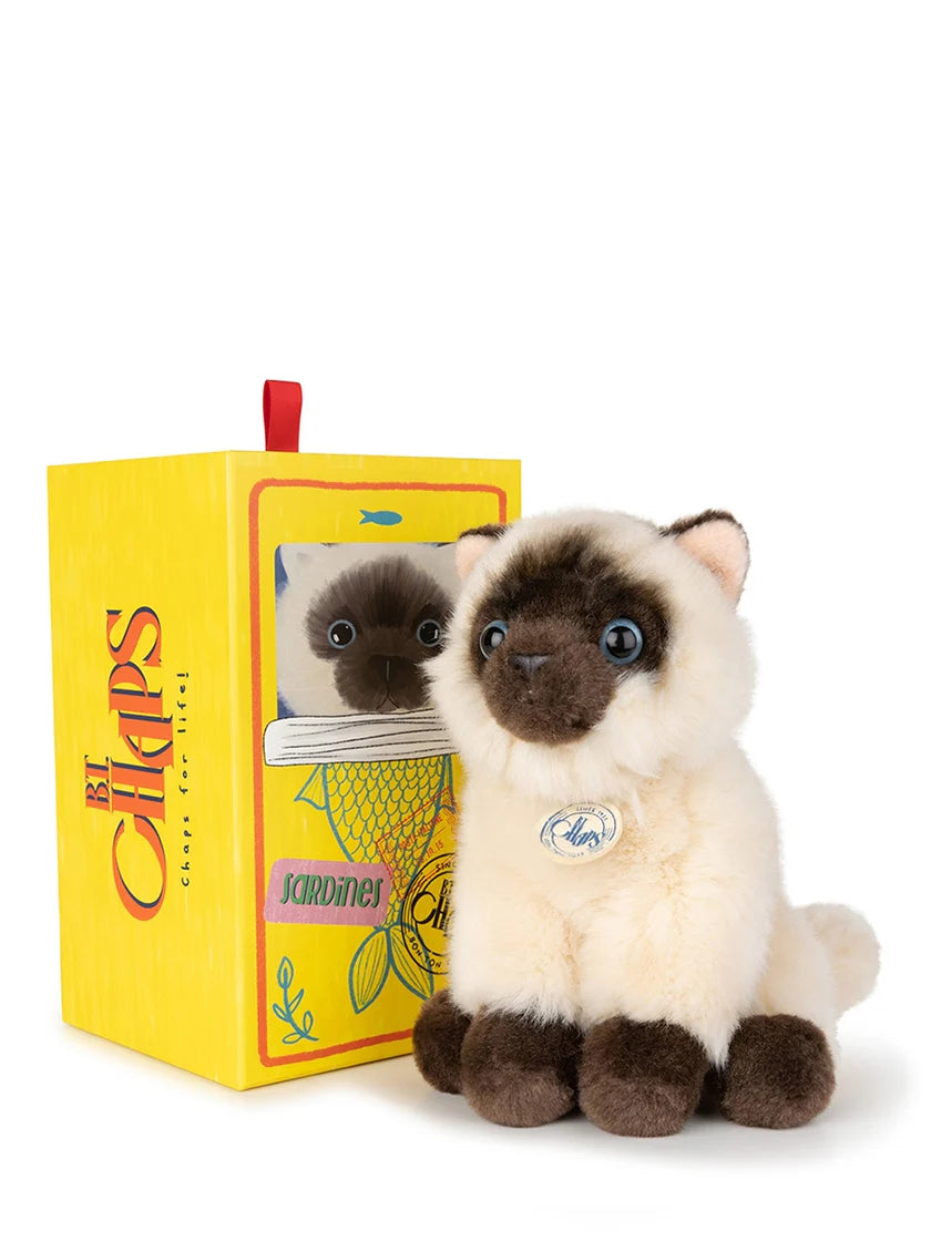 B.T. CHAPS | Eddie The Siamese in Giftbox | 17cm