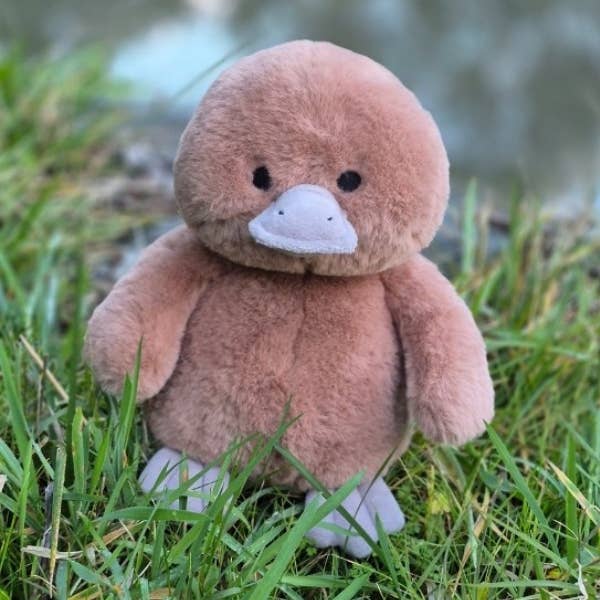 PETITE VOUS | River the Platypus
