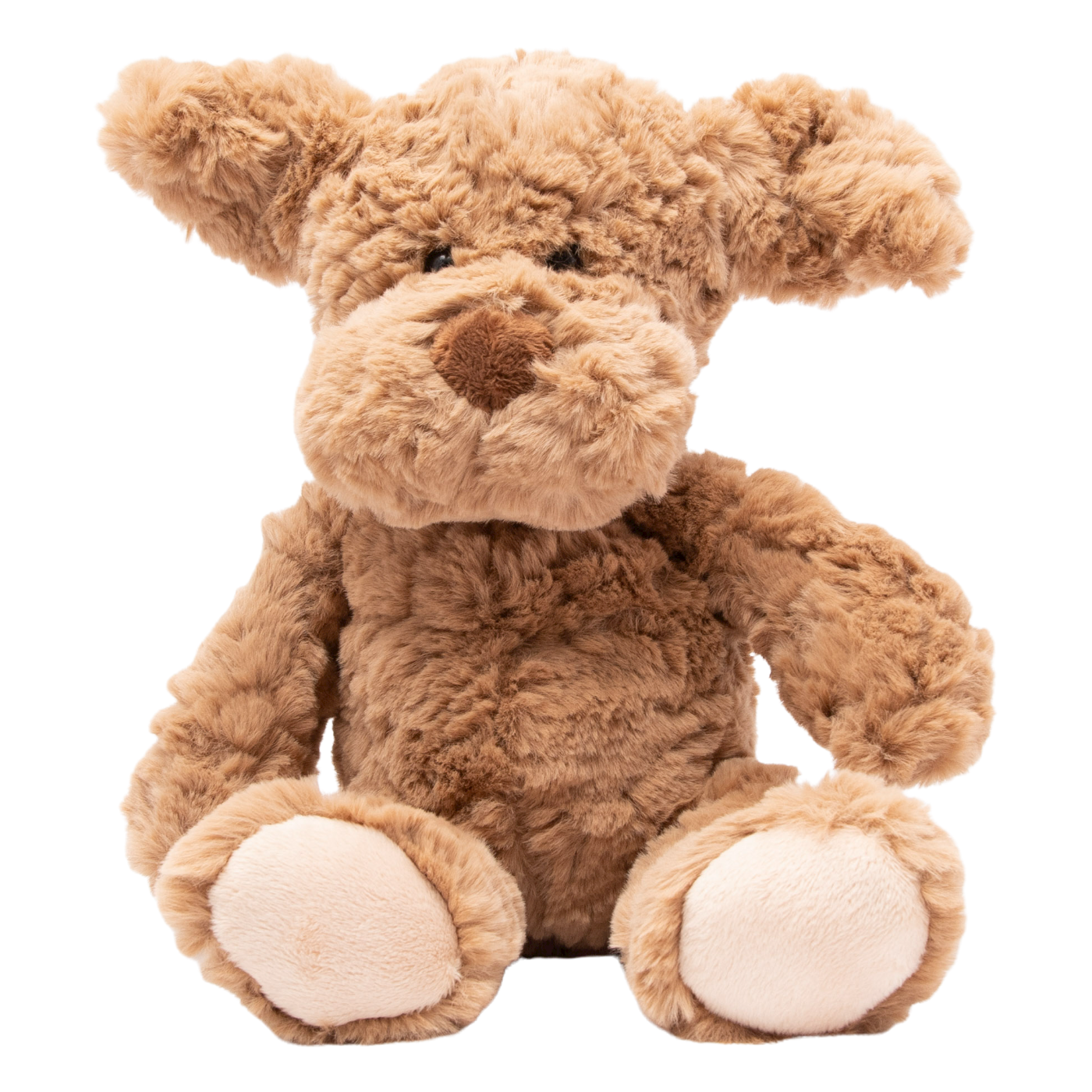 PETITE VOUS | Barney the Dog