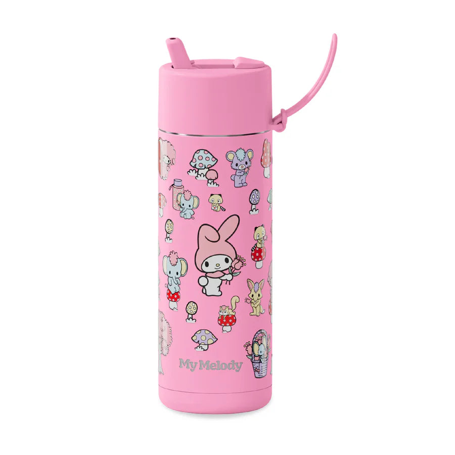 FRANK GREEN | Hello Kitty & Friends 595ml/20oz