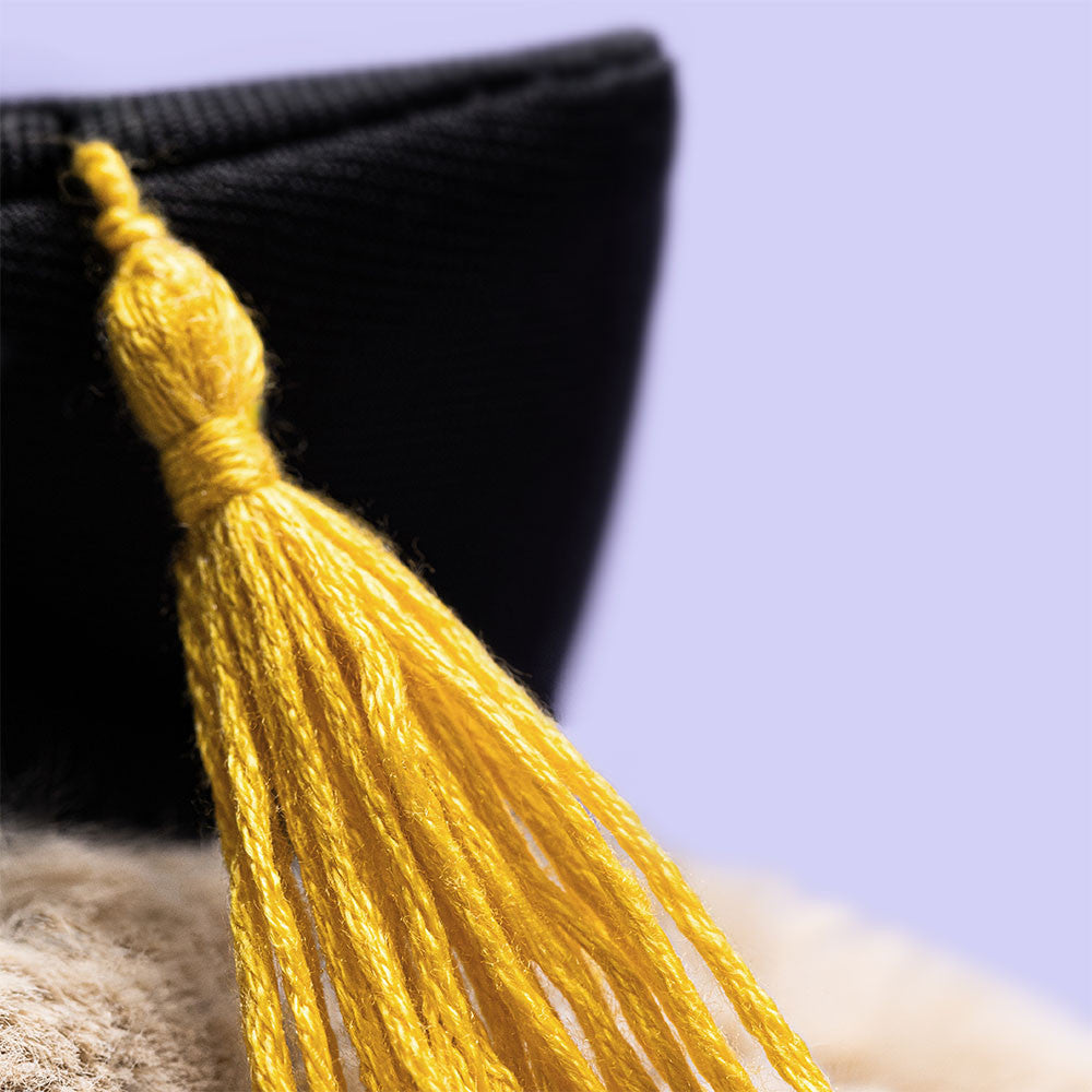 JELLYCAT | Bashful Graduation Outfit Bunny