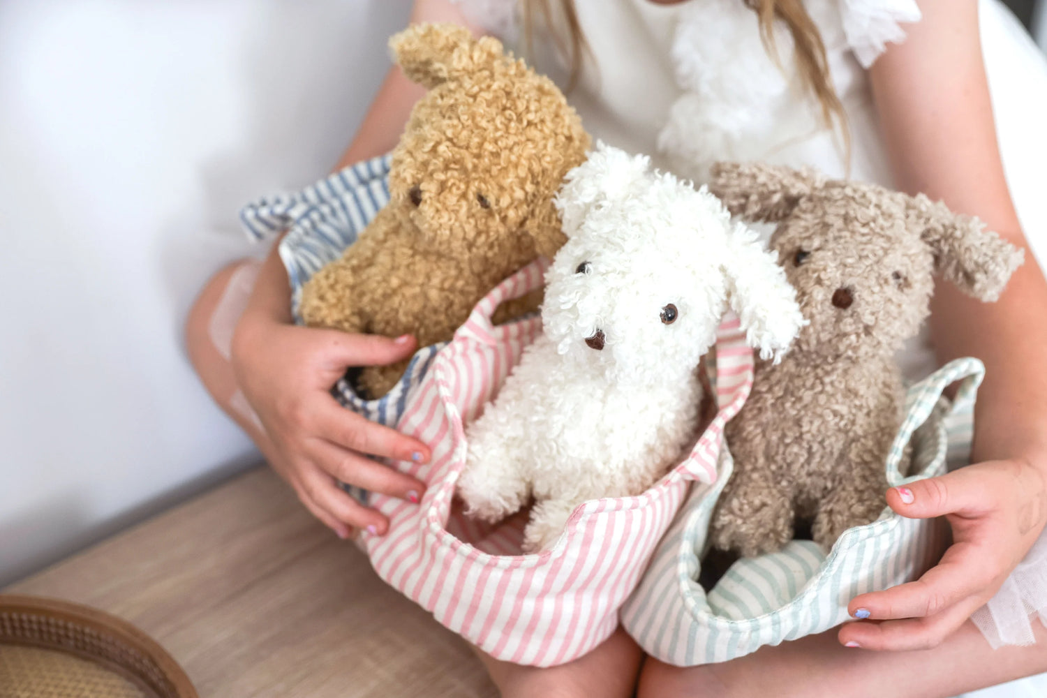 ALIMROSE | Puppy & Carrier