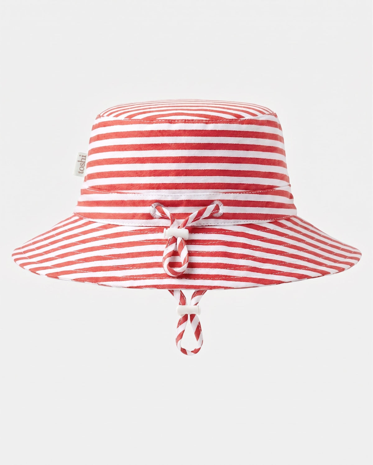 Sunhat Nautilus Lobster