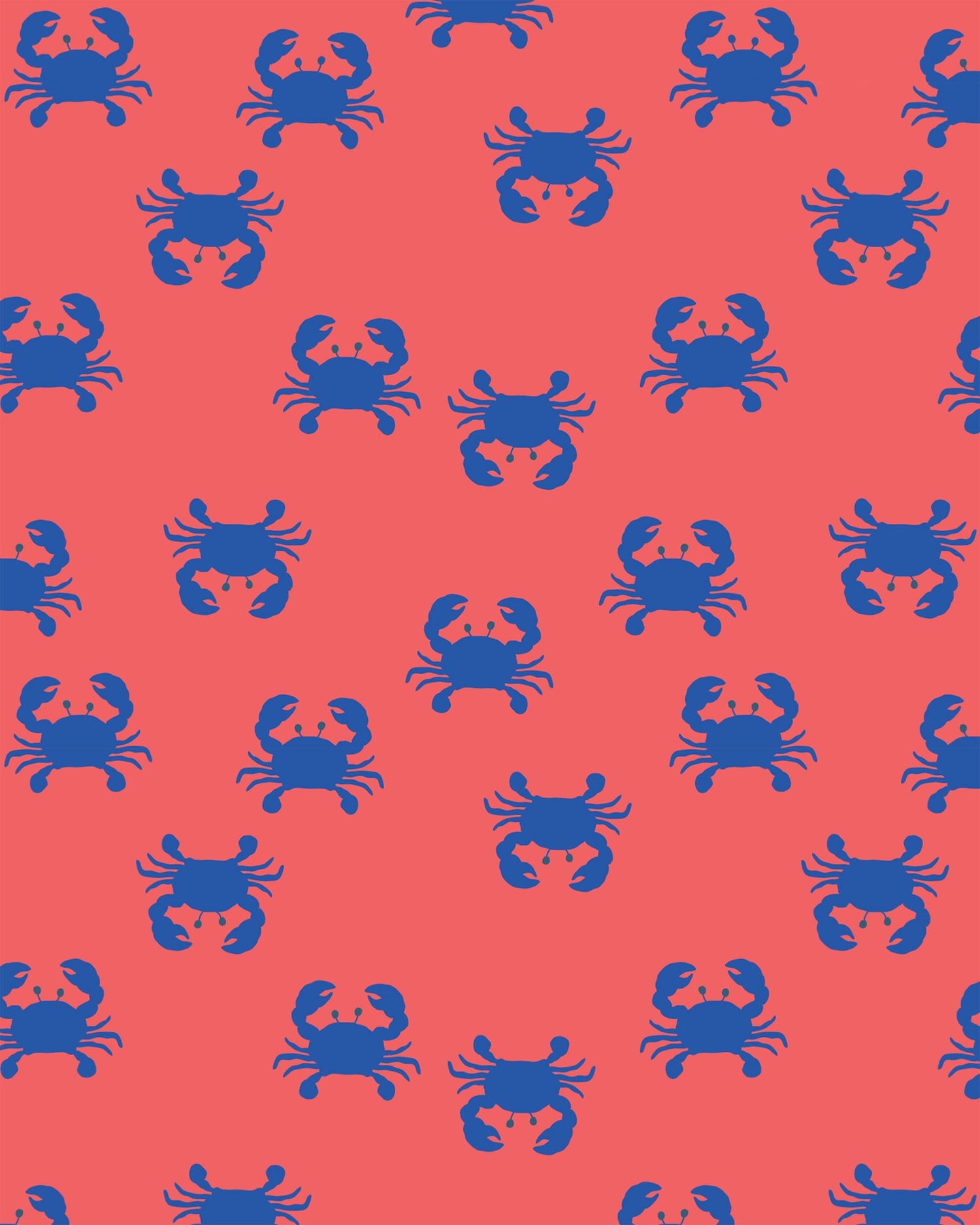 TOSHI | Swim Flap Cap Pirate Mud Crabs