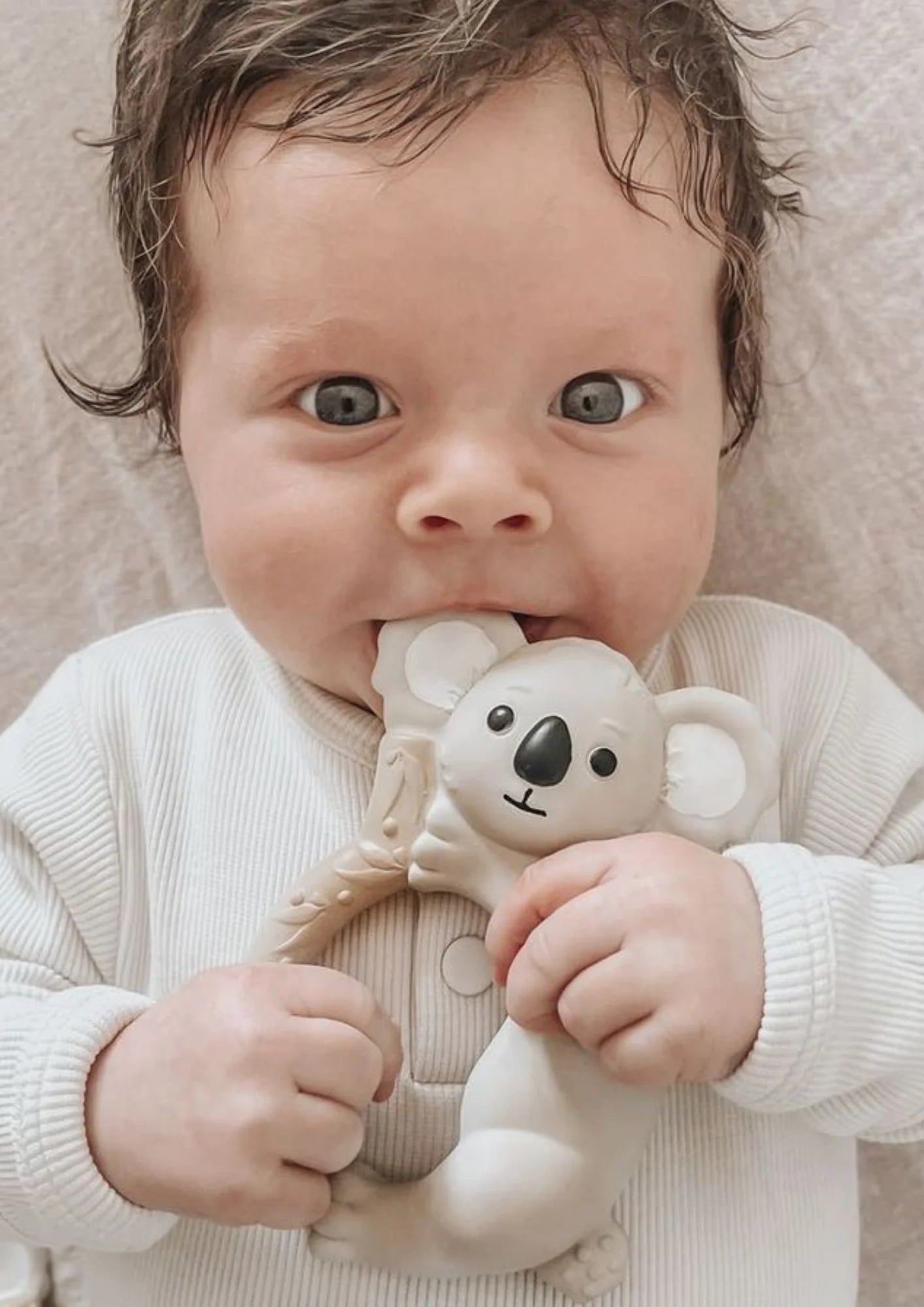 WINNIE PARKES | Banks the Koala | Teething Ring