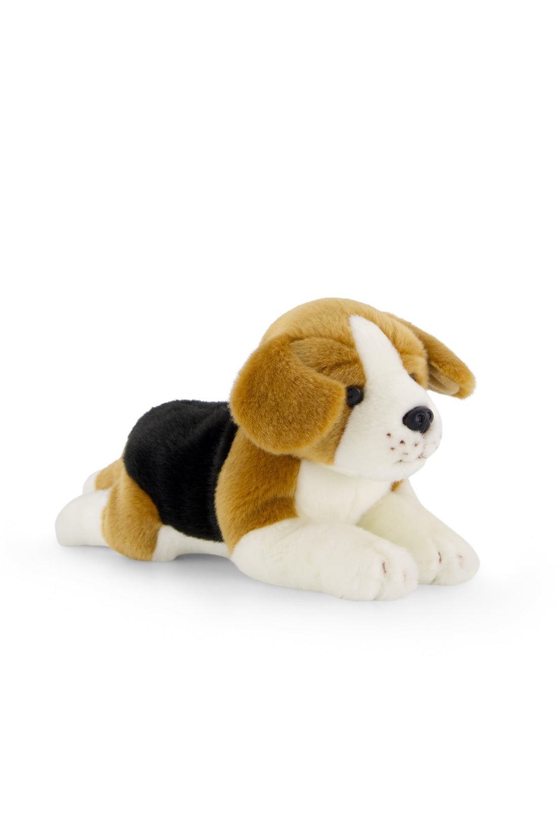 SNUGGLE BUNNIES | Brooklyn the Beagle