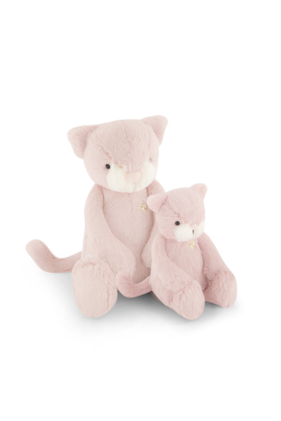 SNUGGLE BUNNIES | Elsie the Kitten | Medium