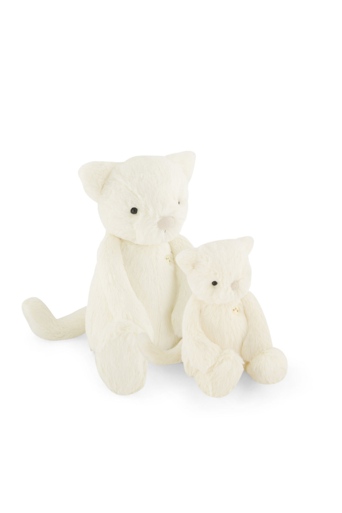 SNUGGLE BUNNIES | Elsie the Kitten | Little