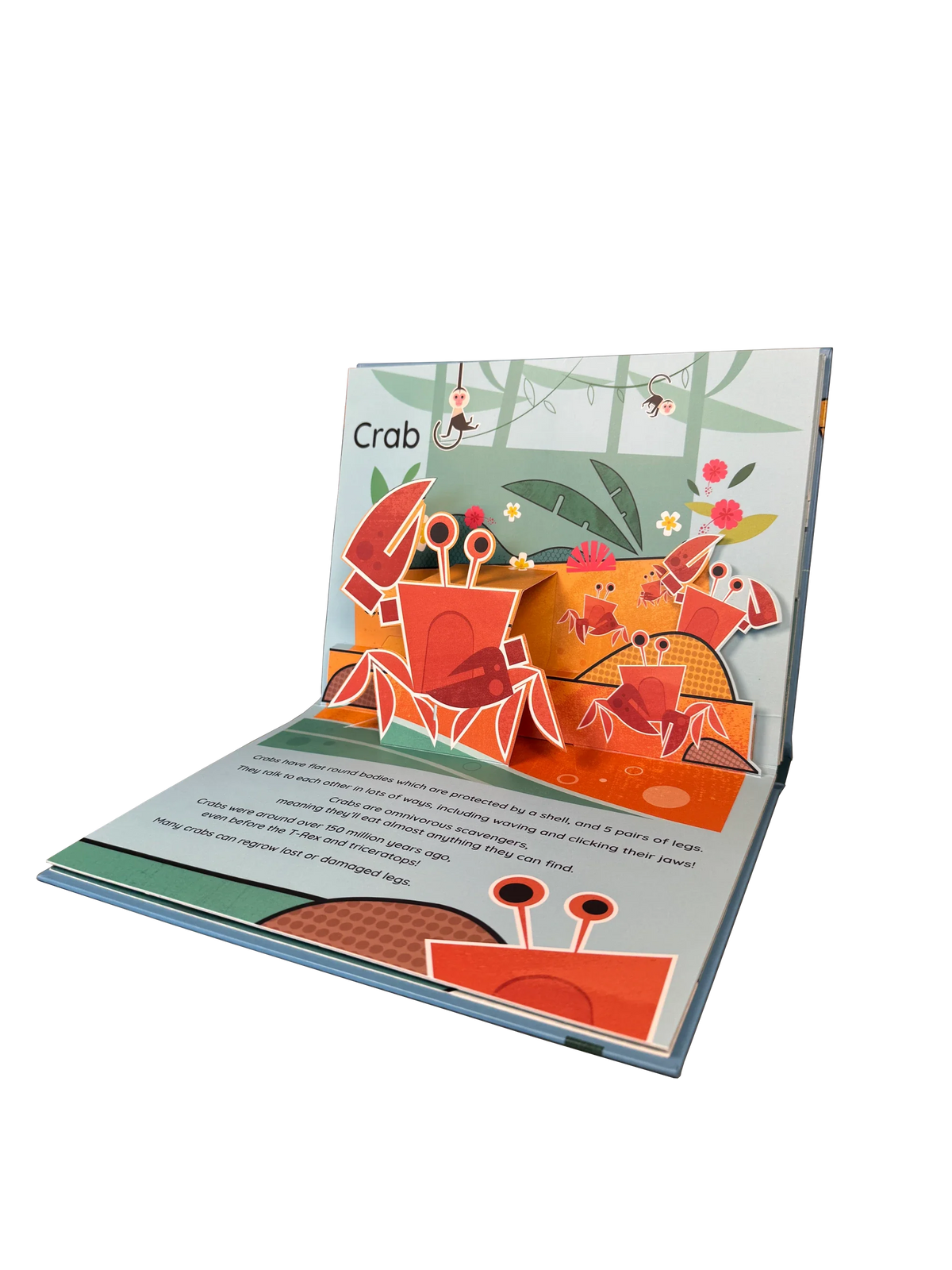 REALLY DECENT BOOKS | Pop Up Planet Books