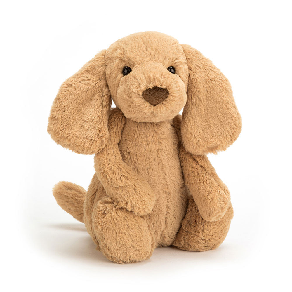 JELLYCAT | Bashful Puppy Medium | Toffee