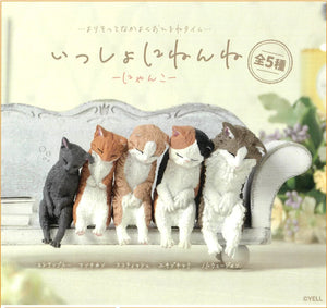 YELL | Sleep Cats Blind Box | Let's Sleep Kitty Cats