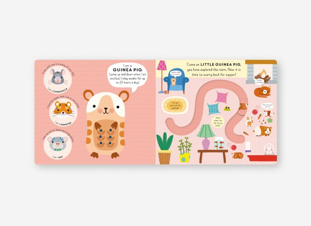 REALLY DECENT BOOKS Little Journeys | Little Puppy