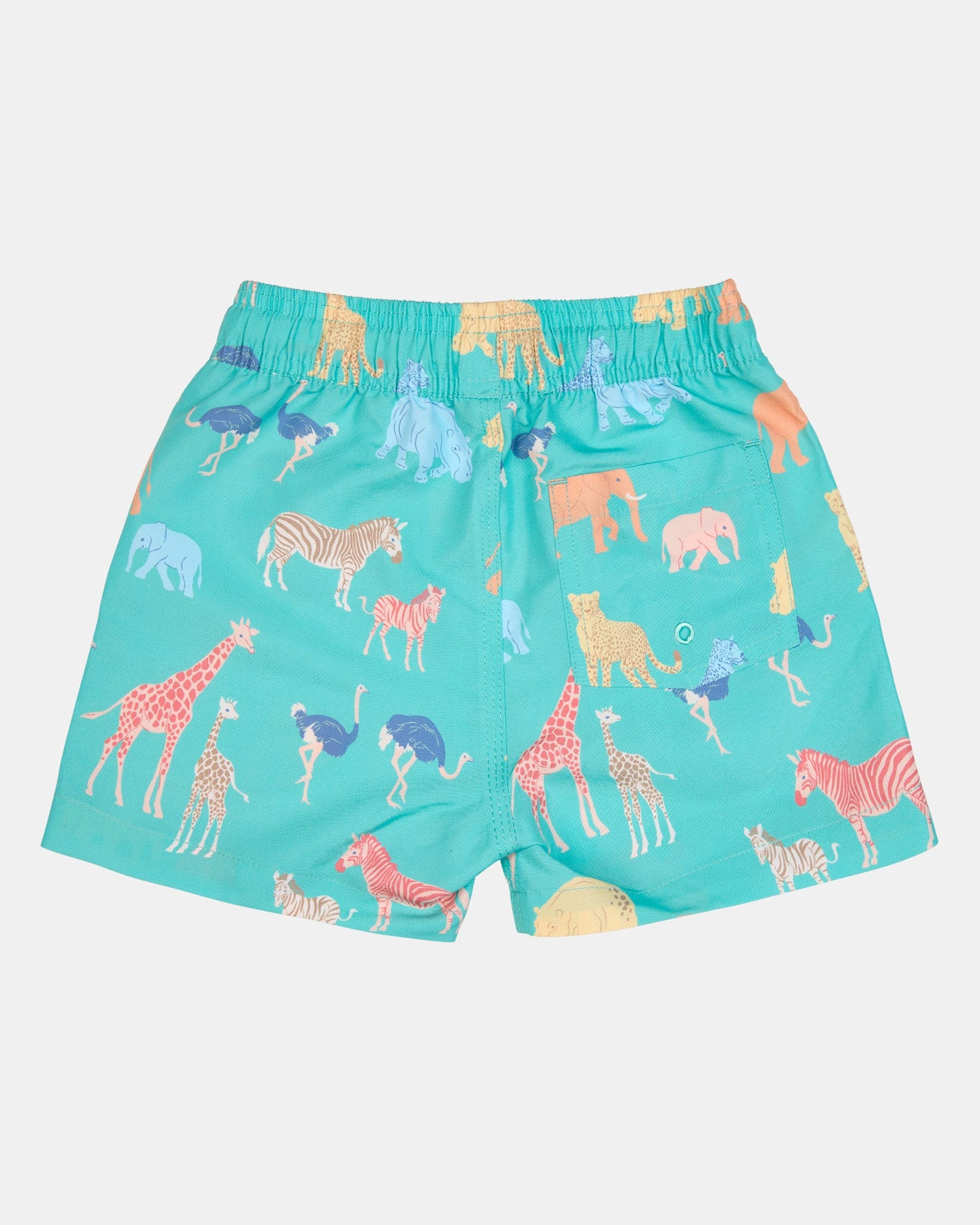 TOSHI | Swim Boardies | Splash