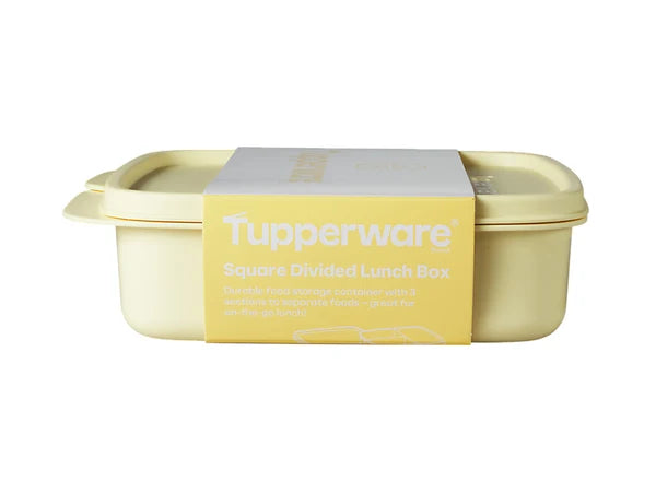 TUPPERWARE | Divided Square Lunch Box